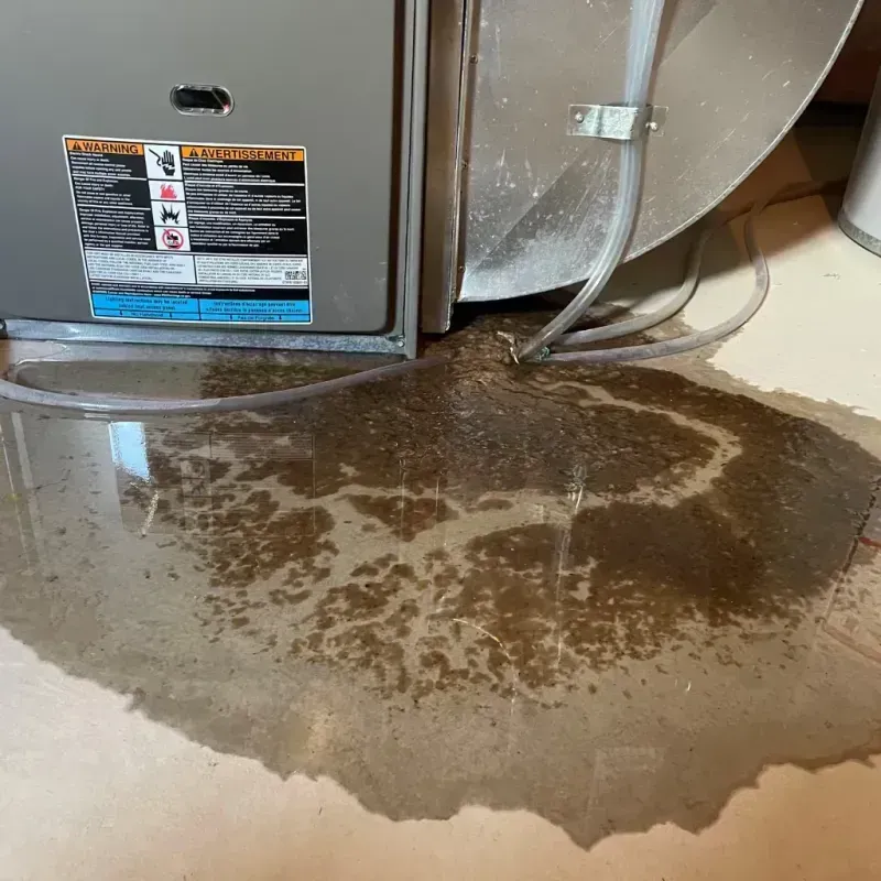 Appliance Leak Cleanup in Columbus, MN